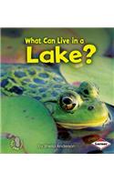 What Can Live in a Lake?: (First Step Nonfiction)