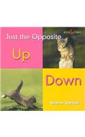 Up/Down: (Just the Opposite)