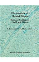 Ultrastructure of Skeletal Tissues