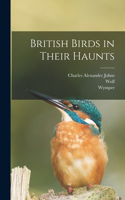 British Birds in Their Haunts