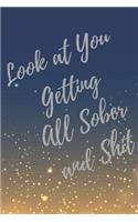 Look at You Getting All Sober and Shit