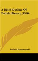 A Brief Outline Of Polish History (1920): (English)