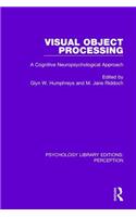 Visual Object Processing