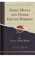 Asses, Mules and Other Equine Hybrids (Classic Reprint)