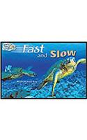 Steck-Vaughn Pair-It Turn and Learn Emergent 1: Leveled Reader Bookroom Package Fast and Slow/Catch It!