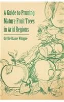 Guide to Pruning Mature Fruit Trees in Arid Regions