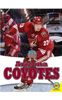 Arizona Coyotes