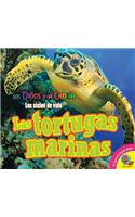 Tortugas Marinas