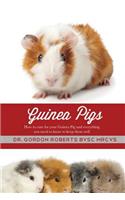 Guinea Pigs