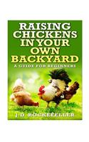 Raising Chickens in Your Own Backyard