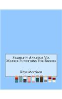 Stability Analysis Via Matrix Functions For Bizzies