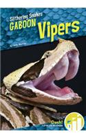 Gaboon Vipers: (Slithering Snakes: Dash! Leveled Readers, Level 1)