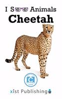 Cheetah: (I See Animals)