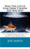 Why The Little Fish Didn't Know She Was Wet