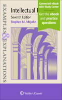 Examples & Explanations for Intellectual Property