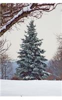 A Wonderful Evergreen Tree in a Winter Forest Journal