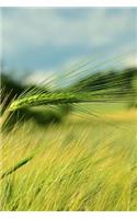 A Field of Barley Journal