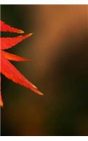 Maple Leaves Notebook