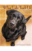 What Labs Teach Us 2019 Engagement Calendar (Dog Breed Calendar)