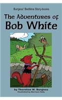 Adventures of Bob White