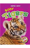 Baby Tigers