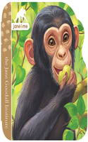 Jane & Me Chimpanzees (the Jane Goodall Institute)