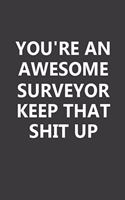 You're An Awesome Surveyor Keep That Shit Up