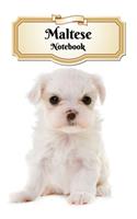 Maltese Notebook: Puppy - Composition Book 150 pages 6 x 9 in. - 5x5mm Graph Paper - Writing Notebook - Grid Paper - Soft Cover - Drawing