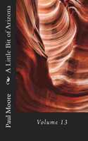 A Little Bit of Arizona: Volume 13(13 Arizona)