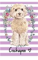 Cockapoo