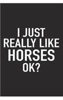 I Just Really Like Horses Ok?: A 6x9 Inch Matte Softcover Journal Notebook with 120 Blank Lined Pages and a Funny Sarcastic Cover Slogan