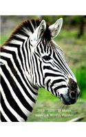 2019 - 2020 18 Month Weekly & Monthly Planner: July 2019 to December 2020 Calendar in Review/Monthly Calendar with U.S./Uk/ Canadian/Christian/Jewish/Muslim Holidays-Notes 8 X 10 In.-Zebra Animal