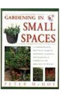Gardening in Small Spaces