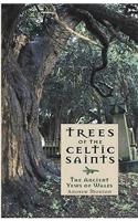 Trees of the Celtic Saints ? The Ancient Yews of Wales