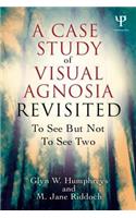 Case Study in Visual Agnosia Revisited