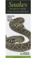 Snakes of South Texas: A Guide to Common & Notable Species