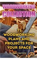 Woodworking Collection: 75 Woodworking Plans And Projects For Your Space: (DIY Woodworking, DIY Crafts)