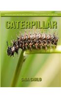 Caterpillar: Amazing Fun Facts and Pictures about Caterpillar for Kids