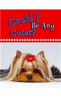 Could I Be Any Cuter?: Journal, Notebook, Diary, 105 Lined Pages, Large Size Book 8 1/2" x 11"