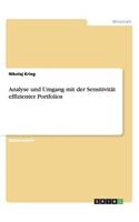 Analyse und Umgang mit der Sensitivität effizienter Portfolios
