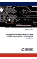 Biohybrid nanocomposites