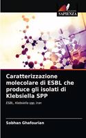 Caratterizzazione molecolare di ESBL che produce gli isolati di Klebsiella SPP