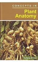 Concepts in Plant Anatomy