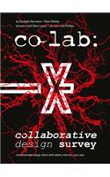 Co Lab: Collaborative Design Survey