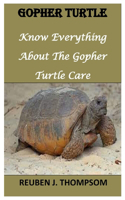 Gopher Turtle: Know Everything About The Gopher Turtle