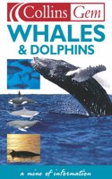 Whales and Dolphins (Collins Gem)