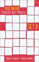KS2 Maths Practice Test Papers - Set B (Online download)