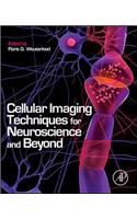 Cellular Imaging Techniques for Neuroscience and Beyond
