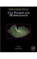 Cell Polarity and Morphogenesis