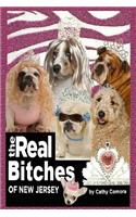 The Real Bitches of New Jersey
